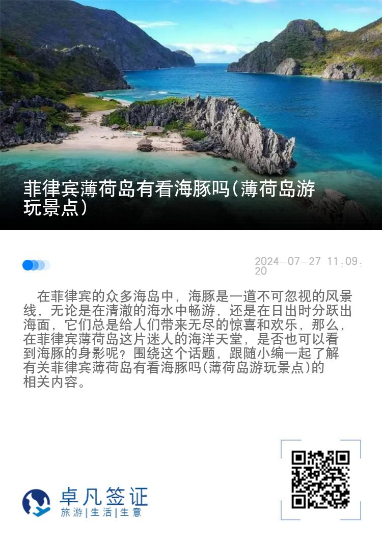 菲律宾薄荷岛有看海豚吗(薄荷岛游玩景点)