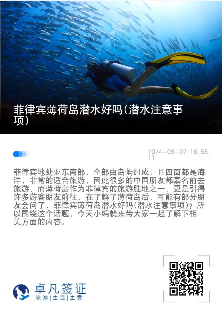 菲律宾薄荷岛潜水好吗(潜水注意事项)