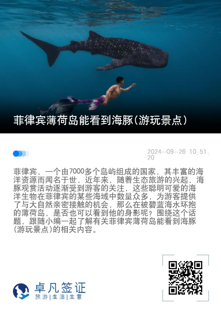 菲律宾薄荷岛能看到海豚(游玩景点)