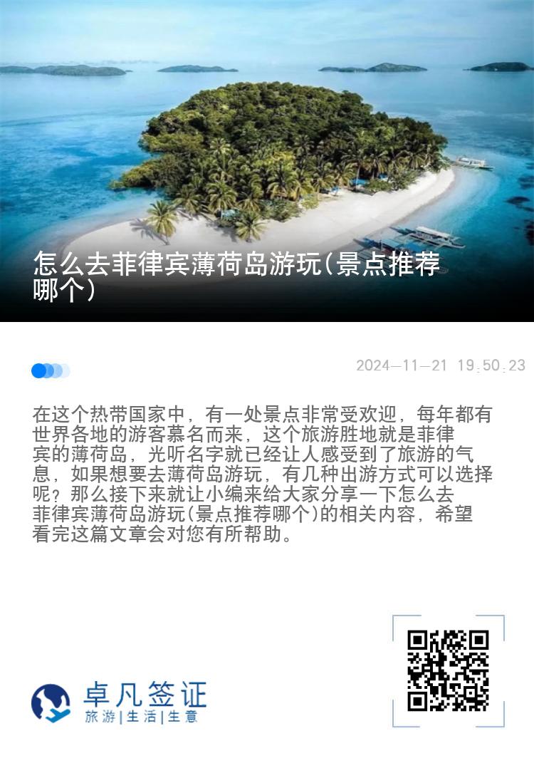 怎么去菲律宾薄荷岛游玩(景点推荐哪个)