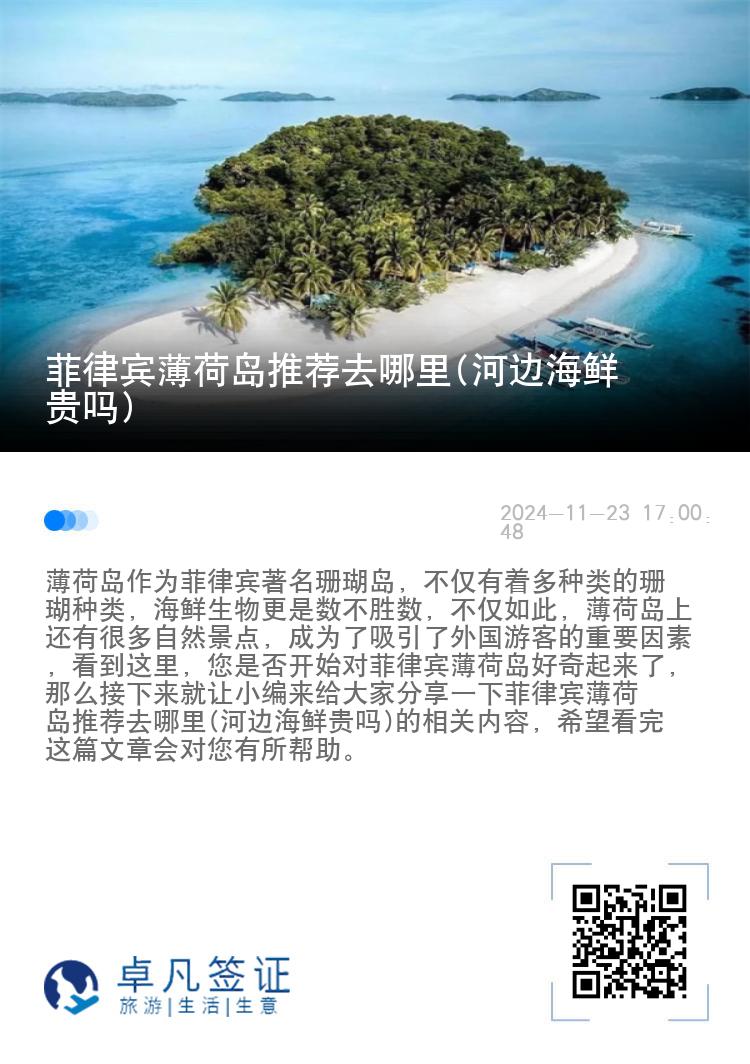 菲律宾薄荷岛推荐去哪里(河边海鲜贵吗)