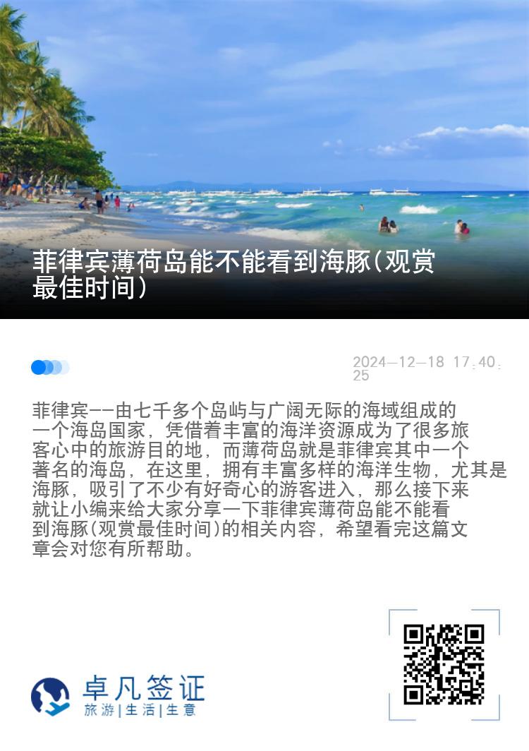 菲律宾薄荷岛能不能看到海豚(观赏最佳时间)
