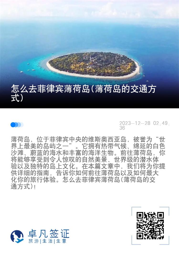怎么去菲律宾薄荷岛(薄荷岛的交通方式)