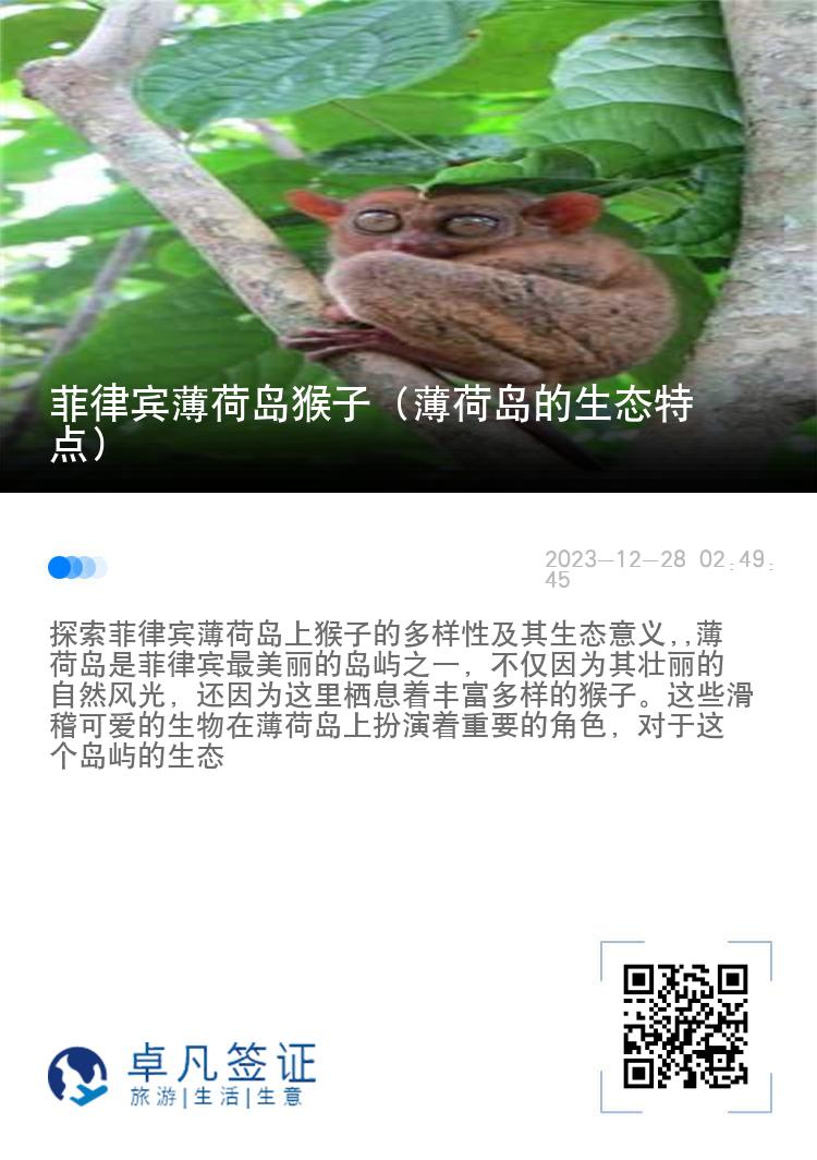 菲律宾薄荷岛猴子（薄荷岛的生态特点）